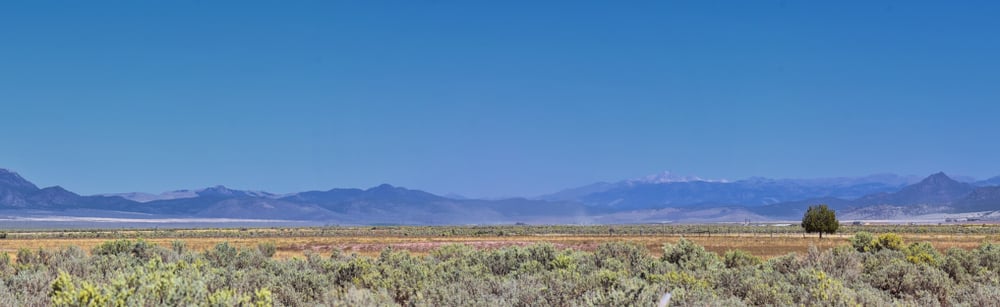 wasatch mountain range meadow