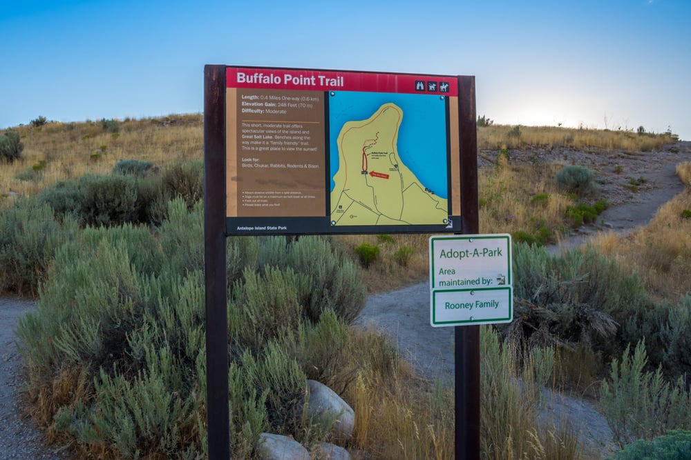 buffalo peak trail utah