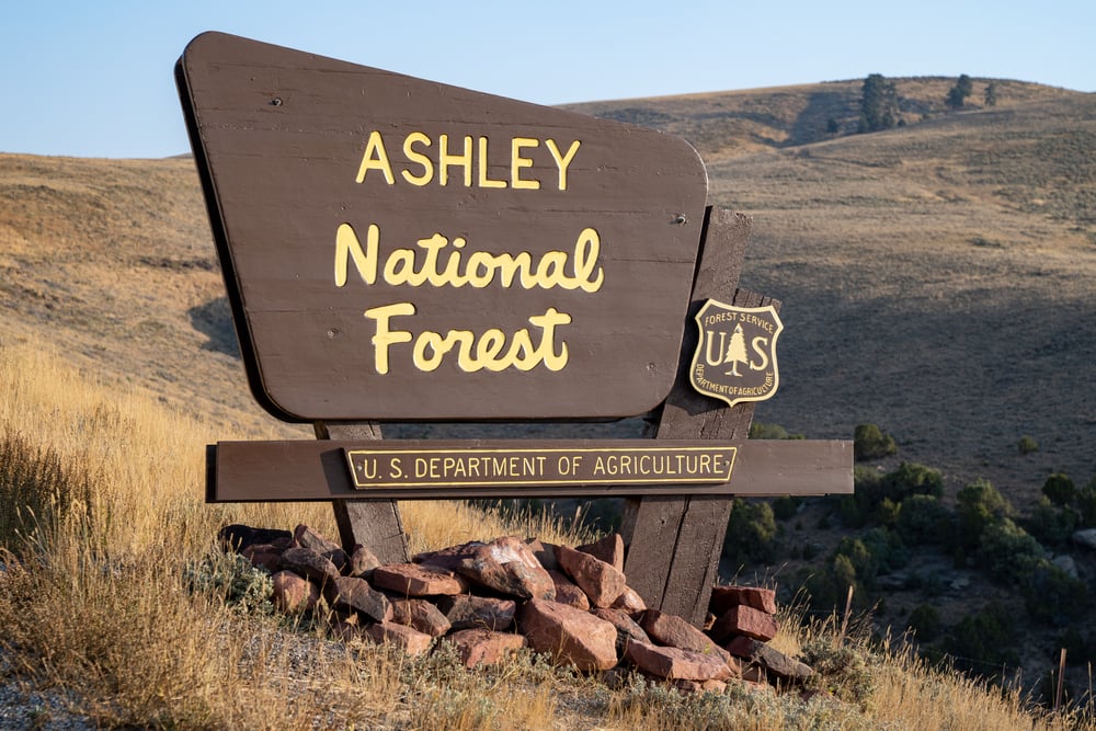 ashley national forest utah