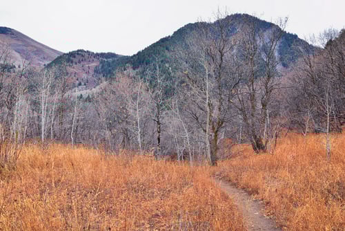 maple canyon trail