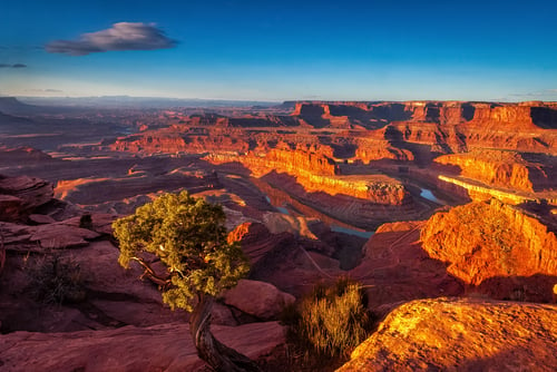 morning light on dead horse point