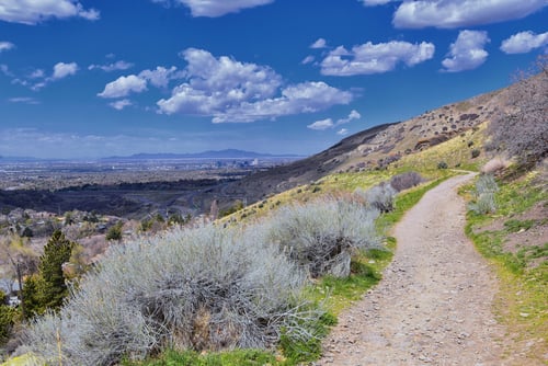 utah hiking trail