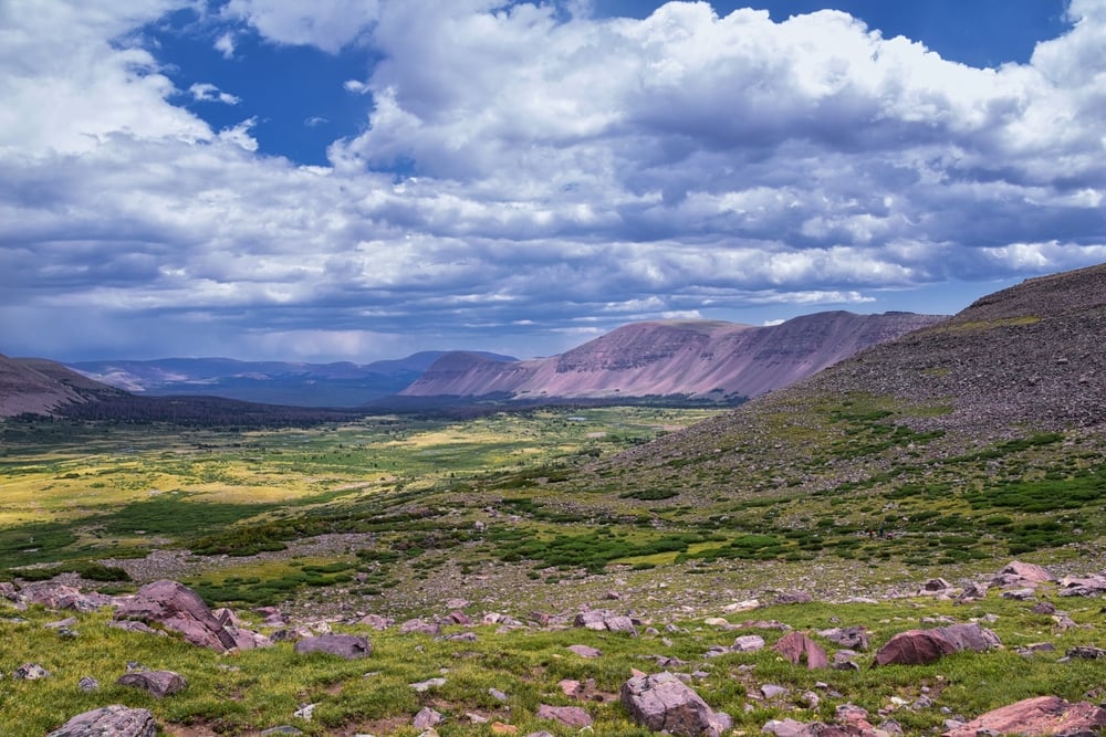uinta national forest