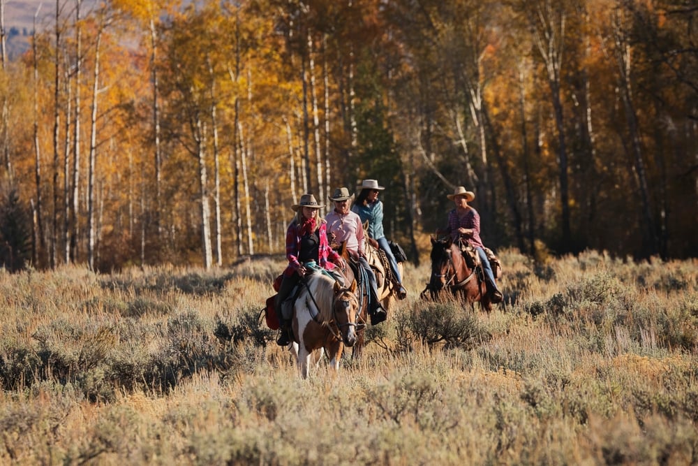 riding horseback through aspen trees