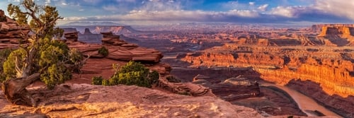 colorado river moab