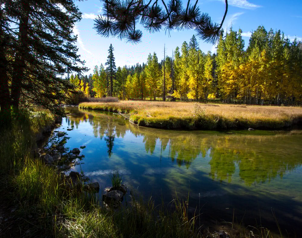 duck creek utah