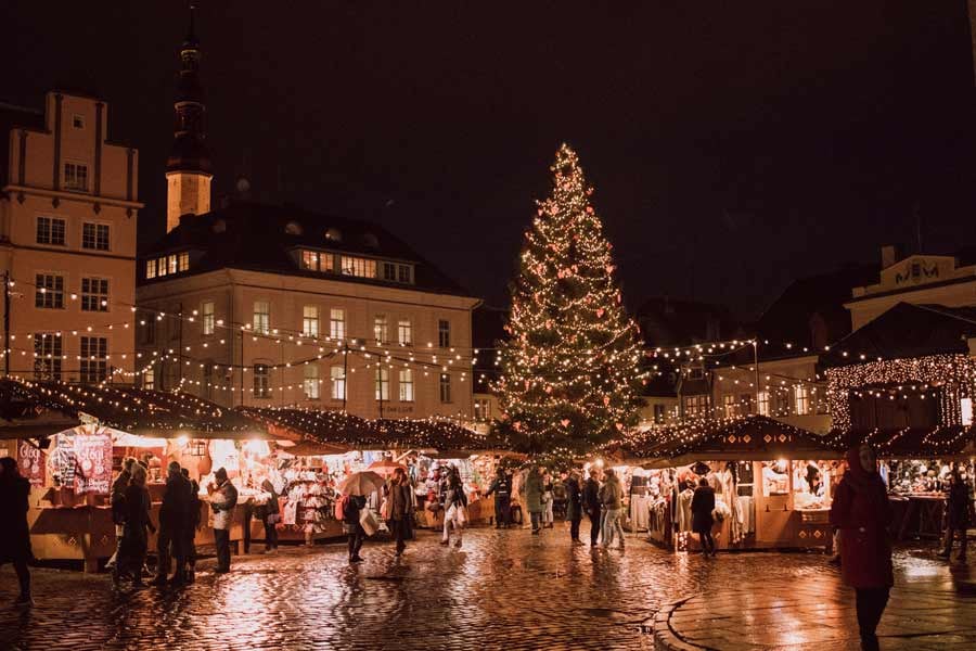 tree_light_unsplash